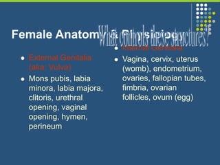 Female Anatomy & Physiology
 External Genitalia
(aka: Vulva)
 Mons pubis, labia
minora, labia majora,
clitoris, urethral
opening, vaginal
opening, hymen,
perineum
 Internal Genitalia
 Vagina, cervix, uterus
(womb), endometrium,
ovaries, fallopian tubes,
fimbria, ovarian
follicles, ovum (egg)
 