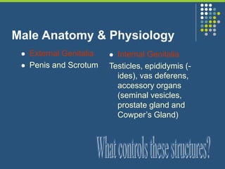 Male Anatomy & Physiology
 External Genitalia
 Penis and Scrotum
 Internal Genitalia
Testicles, epididymis (-
ides), vas deferens,
accessory organs
(seminal vesicles,
prostate gland and
Cowper’s Gland)
 