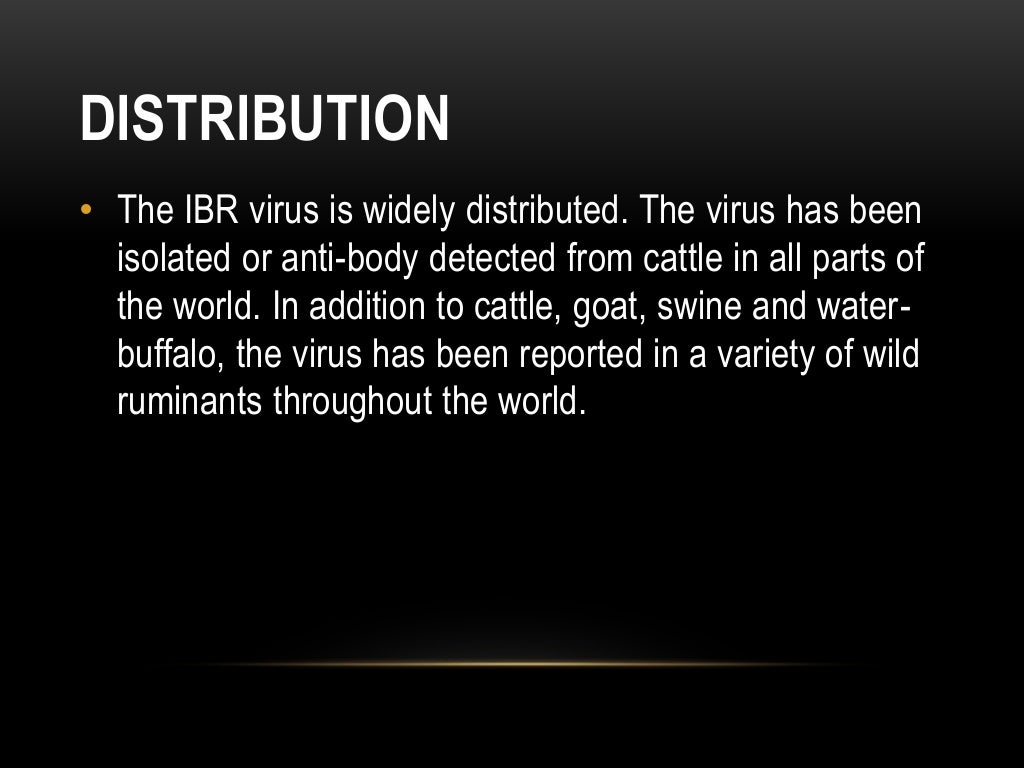 Infectious bovine rhinotracheitis