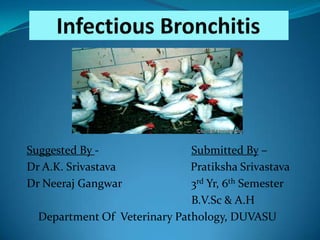 Suggested By Dr A.K. Srivastava
Dr Neeraj Gangwar

Submitted By –
Pratiksha Srivastava
3rd Yr, 6th Semester
B.V.Sc & A.H
Department Of Veterinary Pathology, DUVASU

 