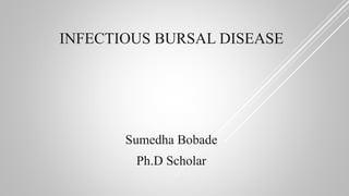 INFECTIOUS BURSAL DISEASE
Sumedha Bobade
Ph.D Scholar
 