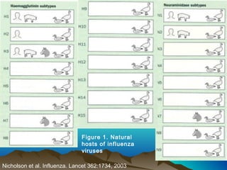 Figure 1. Natural
hosts of influenza
viruses
Nicholson et al. Influenza. Lancet 362:1734, 2003
 