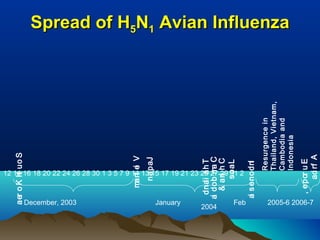Spread of HSpread of H55NN11 Avian InfluenzaAvian Influenza
12 14 16 18 20 22 24 26 28 30 1 3 5 7 9 11 13 15 17 19 21 23 25 27 29 31 2
December, 2003 January Feb 2005-6 2006-7
2004
SouthKorea
Vietnam
Japan
Thailand
Cambodia
China&
Laos
Indonesia
Resurgencein
Thailand,Vietnam,
Cambodiaand
Indonesia
Europe,
Africa
 