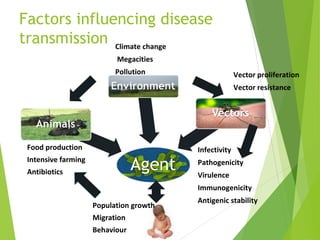 Massification Infections Infectious disease | PPT