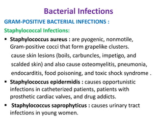 Bacterial Infections
GRAM-POSITIVE BACTERIAL INFECTIONS :
Staphylococcal Infections:
 Staphylococcus aureus : are pyogenic, nonmotile,
  Gram-positive cocci that form grapelike clusters.
   cause skin lesions (boils, carbuncles, impetigo, and
   scalded skin) and also cause osteomyelitis, pneumonia,
   endocarditis, food poisoning, and toxic shock syndrome .
 Staphylococcus epidermidis : causes opportunistic
  infections in catheterized patients, patients with
  prosthetic cardiac valves, and drug addicts.
 Staphylococcus saprophyticus : causes urinary tract
  infections in young women.
 