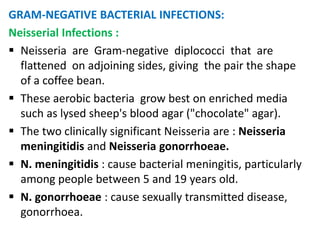 GRAM-NEGATIVE BACTERIAL INFECTIONS:
Neisserial Infections :
 Neisseria are Gram-negative diplococci that are
  flattened on adjoining sides, giving the pair the shape
  of a coffee bean.
 These aerobic bacteria grow best on enriched media
  such as lysed sheep's blood agar ("chocolate" agar).
 The two clinically significant Neisseria are : Neisseria
  meningitidis and Neisseria gonorrhoeae.
 N. meningitidis : cause bacterial meningitis, particularly
  among people between 5 and 19 years old.
 N. gonorrhoeae : cause sexually transmitted disease,
  gonorrhoea.
 
