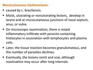 Mucocutaneous leishmaniasis:
 caused by L. braziliensis.
 Moist, ulcerating or nonulcerating lesions, develop in
  larynx and at mucocutaneous junctions of nasal septum,
  anus, or vulva.
 On microscopic examination, there is mixed
  inflammatory infiltrate with parasite-containing
  histiocytes in association with lymphocytes and plasma
  cells.
 Later, the tissue reaction becomes granulomatous, and
  the number of parasites declines.
 Eventually, the lesions remit and scar, although
  reactivation may occur after long intervals.
 