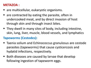METAZOA :
 are multicellular, eukaryotic organisms.
 are contracted by eating the parasite, often in
  undercooked meat, and by direct invasion of host
  through skin and through insect bites.
 They dwell in many sites of body, including intestine,
  skin, lung, liver, muscle, blood vessels, and lymphatics
Tapeworms (Cestodes):
 Taenia solium and Echinococcus granulosus are cestode
  parasites (tapeworms) that cause cysticercosis and
  hydatid infections, respectively.
 Both diseases are caused by larvae that develop
  following ingestion of tapeworm eggs.
 