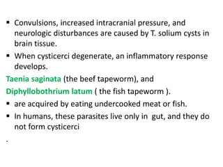 Convulsions, increased intracranial pressure, and
  neurologic disturbances are caused by T. solium cysts in
  brain tissue.
 When cysticerci degenerate, an inflammatory response
  develops.
Taenia saginata (the beef tapeworm), and
Diphyllobothrium latum ( the fish tapeworm ).
 are acquired by eating undercooked meat or fish.
 In humans, these parasites live only in gut, and they do
  not form cysticerci
.
 