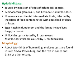 Hydatid disease:
 caused by ingestion of eggs of echinoccal species.
 Echinococcus granulosus, and Echinoccus multilocularis.
 Humans are accidental intermediate hosts, infected by
  ingestion of food contaminated with eggs shed by dogs
  or foxes.
 Eggs hatch in duodenum and the larvae invade liver,
  lungs, or bones.
 Unilocular cysts caused by E. granulosus .
  Multilocular cysts are caused by E. multilocularis.
Morphology:
 About two-thirds of human E. granulosus cysts are found
  in liver, 5% to 15% in lung, and the rest in bones and
  brain or other organs.
 