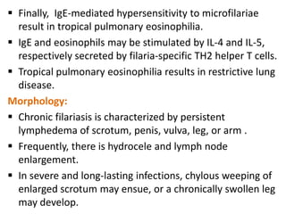  Finally, IgE-mediated hypersensitivity to microfilariae
  result in tropical pulmonary eosinophilia.
 IgE and eosinophils may be stimulated by IL-4 and IL-5,
  respectively secreted by filaria-specific TH2 helper T cells.
 Tropical pulmonary eosinophilia results in restrictive lung
  disease.
Morphology:
 Chronic filariasis is characterized by persistent
  lymphedema of scrotum, penis, vulva, leg, or arm .
 Frequently, there is hydrocele and lymph node
  enlargement.
 In severe and long-lasting infections, chylous weeping of
  enlarged scrotum may ensue, or a chronically swollen leg
  may develop.
 