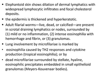  Elephantoid skin shows dilation of dermal lymphatics with
  widespread lymphocytic infiltrates and focal cholesterol
  deposits.
 the epidermis is thickened and hyperkeratotic.
 Adult filarial worms—live, dead, or calcified—are present
  in scrotal draining lymphatics or nodes, surrounded by
  (1) mild or no inflammation, (2) intense eosinophilia with
  hemorrhage and fibrin, or (3) granulomas.
 Lung involvement by microfilariae is marked by
• eosinophilia caused by TH2 responses and cytokine
  production (tropical eosinophilia); or by
• dead microfilariae surrounded by stellate, hyaline,
  eosinophilic precipitates embedded in small epithelioid
  granulomas (Meyers-Kouvenaar bodies).
 