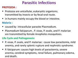 Parasitic Infections
PROTOZOA :
 Protozoa are unicellular, eukaryotic organisms.
   transmitted by insects or by fecal-oral route.
 in humans mainly occupy the blood or intestine.
Malaria :
 caused by intracellular parasite Plasmodium.
 Plasmodium falciparum , P. vivax, P. ovale, and P. malariae
   are transmitted by female Anopheles mosquitoes.
Life Cycle and Pathogenesis:
 P. vivax, P. ovale, and P. malariae : cause low parasitemia, mild
   anemia, and rarely splenic rupture and nephrotic syndrome.
 P. falciparum: causes high levels of parasitemia, severe
   anemia, cerebral symptoms, renal failure, pulmonary edema,
   and death.
 