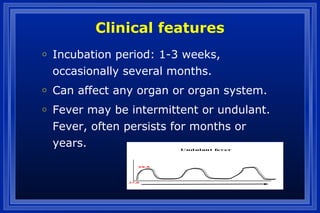 Clinical features
o Incubation period: 1-3 weeks,
occasionally several months.
o Can affect any organ or organ system.
o Fever may be intermittent or undulant.
Fever, often persists for months or
years. Undulant fever
39.5
37.0
 