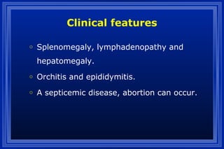 Clinical features
o Splenomegaly, lymphadenopathy and
hepatomegaly.
o Orchitis and epididymitis.
o A septicemic disease, abortion can occur.
 