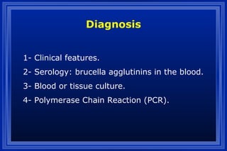 Diagnosis
1- Clinical features.
2- Serology: brucella agglutinins in the blood.
3- Blood or tissue culture.
4- Polymerase Chain Reaction (PCR).
 