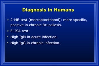 o 2-ME-test (mercaptoethanol): more specific,
positive in chronic Brucellosis.
o ELISA test:
• High IgM in acute infection.
• High IgG in chronic infection.
Diagnosis in Humans
 