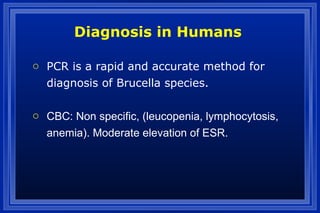 o PCR is a rapid and accurate method for
diagnosis of Brucella species.
o CBC: Non specific, (leucopenia, lymphocytosis,
anemia). Moderate elevation of ESR.
Diagnosis in Humans
 