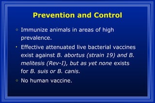 Prevention and Control
o Immunize animals in areas of high
prevalence.
• Effective attenuated live bacterial vaccines
exist against B. abortus (strain 19) and B.
melitesis (Rev-I), but as yet none exists
for B. suis or B. canis.
o No human vaccine.
 