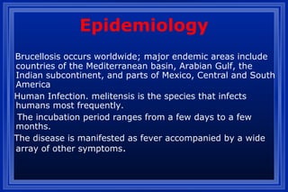 Epidemiology
Brucellosis occurs worldwide; major endemic areas include
countries of the Mediterranean basin, Arabian Gulf, the
Indian subcontinent, and parts of Mexico, Central and South
America
Human Infection. melitensis is the species that infects
humans most frequently.
The incubation period ranges from a few days to a few
months.
The disease is manifested as fever accompanied by a wide
array of other symptoms.
 