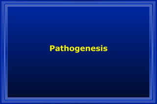 Pathogenesis
 