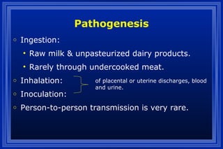 Pathogenesis
o Ingestion:
• Raw milk & unpasteurized dairy products.
• Rarely through undercooked meat.
o Inhalation:
o Inoculation:
o Person-to-person transmission is very rare.
of placental or uterine discharges, blood
and urine.
 