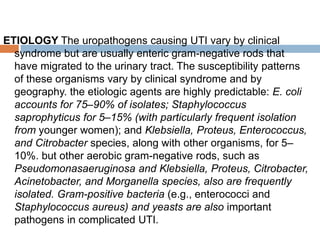 ETIOLOGY The uropathogens causing UTI vary by clinical
syndrome but are usually enteric gram-negative rods that
have migrated to the urinary tract. The susceptibility patterns
of these organisms vary by clinical syndrome and by
geography. the etiologic agents are highly predictable: E. coli
accounts for 75–90% of isolates; Staphylococcus
saprophyticus for 5–15% (with particularly frequent isolation
from younger women); and Klebsiella, Proteus, Enterococcus,
and Citrobacter species, along with other organisms, for 5–
10%. but other aerobic gram-negative rods, such as
Pseudomonasaeruginosa and Klebsiella, Proteus, Citrobacter,
Acinetobacter, and Morganella species, also are frequently
isolated. Gram-positive bacteria (e.g., enterococci and
Staphylococcus aureus) and yeasts are also important
pathogens in complicated UTI.
 