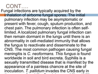 CONT….
Fungal infections are typically acquired by the
inhalation of airborne fungal spores. The initial
pulmonary infection may be asymptomatic or
present with fever, cough, sputum production, and
chest pain. The pulmonary infection is often self-
limited. A localized pulmonary fungal infection can
then remain dormant in the lungs until there is an
abnormality in cell-mediated immunity that allows
the fungus to reactivate and disseminate to the
CNS. The most common pathogen causing fungal
meningitis is C. neoformans. This fungus is found
worldwide in soil and bird excreta. Syphilis is a
sexually transmitted disease that is manifest by the
appearance of a painless chancre at the site of
inoculation. T. pallidum invades the CNS early in
 