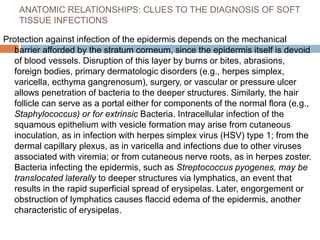 ANATOMIC RELATIONSHIPS: CLUES TO THE DIAGNOSIS OF SOFT
TISSUE INFECTIONS
Protection against infection of the epidermis depends on the mechanical
barrier afforded by the stratum corneum, since the epidermis itself is devoid
of blood vessels. Disruption of this layer by burns or bites, abrasions,
foreign bodies, primary dermatologic disorders (e.g., herpes simplex,
varicella, ecthyma gangrenosum), surgery, or vascular or pressure ulcer
allows penetration of bacteria to the deeper structures. Similarly, the hair
follicle can serve as a portal either for components of the normal flora (e.g.,
Staphylococcus) or for extrinsic Bacteria. Intracellular infection of the
squamous epithelium with vesicle formation may arise from cutaneous
inoculation, as in infection with herpes simplex virus (HSV) type 1; from the
dermal capillary plexus, as in varicella and infections due to other viruses
associated with viremia; or from cutaneous nerve roots, as in herpes zoster.
Bacteria infecting the epidermis, such as Streptococcus pyogenes, may be
translocated laterally to deeper structures via lymphatics, an event that
results in the rapid superficial spread of erysipelas. Later, engorgement or
obstruction of lymphatics causes flaccid edema of the epidermis, another
characteristic of erysipelas.
 