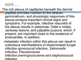 cont….
The rich plexus of capillaries beneath the dermal
papillae provides nutrition to the stratum
germinativum, and physiologic responses of this
plexus produce important clinical signs and
symptoms. For example, infective vasculitis of
the plexus results in petechiae, Osler’s nodes,
Janeway lesions, and palpable purpura, which, if
present, are important clues to the existence of
endocarditis. In addition,
metastatic infection within this plexus can result in
cutaneous manifestations of disseminated fungal
infection gonococcal infection, Salmonella
infection, Pseudomonas
Infection,meningococcemia and staphylococcal
infection
 