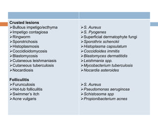 Crusted lesions
Bullous impetigo/ecthyma
Impetigo contagiosa
Ringworm
Sporotrichosis
Histoplasmosis
Coccidioidomycosis
Blastomycosis
Cutaneous leishmaniasis
Cutaneous tuberculosis
Nocardiosis
Folliculitis
Furunculosis
Hot-tub folliculitis
Swimmer’s itch
Acne vulgaris
S. Aureus
S. Pyogenes
Superficial dermatophyte fungi
Sporothrix schenckii
Histoplasma capsulatum
Coccidioides immitis
Blastomyces dermatitidis
Leishmania spp.
Mycobacterium tuberculosis
Nocardia asteroides
S. Aureus
Pseudomonas aeruginosa
Schistosoma spp
Propionibacterium acnes
 