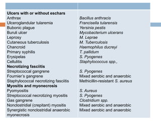 Ulcers with or without eschars
Anthrax
Ulceroglandular tularemia
Bubonic plague
Buruli ulcer
Leprosy
Cutaneous tuberculosis
Chancroid
Primary syphilis
Erysipelas
Cellulitis
Necrotizing fasciitis
Streptococcal gangrene
Fournier’s gangrene
Staphylococcal necrotizing fasciitis
Myositis and myonecrosis
Pyomyositis
Streptococcal necrotizing myositis
Gas gangrene
Nonclostridial (crepitant) myositis
Synergistic nonclostridial anaerobic
myonecrosis
Bacillus anthracis
Francisella tularensis
Yersinia pestis
Mycobacterium ulcerans
M. Leprae
M. Tuberculosis
Haemophilus ducreyi
T. pallidum
S. Pyogenes
Staphylococcus spp.,
S. Pyogenes
Mixed aerobic and anaerobic
Methicillin-resistant S. aureus
S. Aureus
S. Pyogenes
Clostridium spp.
Mixed aerobic and anaerobic
Mixed aerobic and anaerobic
 