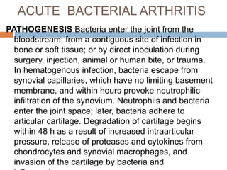 ACUTE BACTERIAL ARTHRITIS
PATHOGENESIS Bacteria enter the joint from the
bloodstream; from a contiguous site of infection in
bone or soft tissue; or by direct inoculation during
surgery, injection, animal or human bite, or trauma.
In hematogenous infection, bacteria escape from
synovial capillaries, which have no limiting basement
membrane, and within hours provoke neutrophilic
infiltration of the synovium. Neutrophils and bacteria
enter the joint space; later, bacteria adhere to
articular cartilage. Degradation of cartilage begins
within 48 h as a result of increased intraarticular
pressure, release of proteases and cytokines from
chondrocytes and synovial macrophages, and
invasion of the cartilage by bacteria and
 