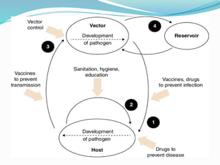 Comprehensive Overview of Microbial Pathogenesis and Infectious ...