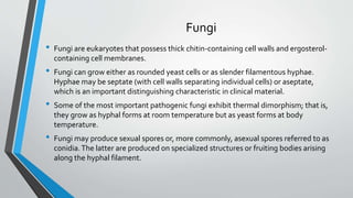Fungi 
• Fungi are eukaryotes that possess thick chitin-containing cell walls and ergosterol-containing 
cell membranes. 
• Fungi can grow either as rounded yeast cells or as slender filamentous hyphae. 
Hyphae may be septate (with cell walls separating individual cells) or aseptate, 
which is an important distinguishing characteristic in clinical material. 
• Some of the most important pathogenic fungi exhibit thermal dimorphism; that is, 
they grow as hyphal forms at room temperature but as yeast forms at body 
temperature. 
• Fungi may produce sexual spores or, more commonly, asexual spores referred to as 
conidia. The latter are produced on specialized structures or fruiting bodies arising 
along the hyphal filament. 
 