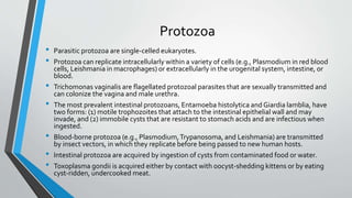 Protozoa 
• Parasitic protozoa are single-celled eukaryotes. 
• Protozoa can replicate intracellularly within a variety of cells (e.g., Plasmodium in red blood 
cells, Leishmania in macrophages) or extracellularly in the urogenital system, intestine, or 
blood. 
• Trichomonas vaginalis are flagellated protozoal parasites that are sexually transmitted and 
can colonize the vagina and male urethra. 
• The most prevalent intestinal protozoans, Entamoeba histolytica and Giardia lamblia, have 
two forms: (1) motile trophozoites that attach to the intestinal epithelial wall and may 
invade, and (2) immobile cysts that are resistant to stomach acids and are infectious when 
ingested. 
• Blood-borne protozoa (e.g., Plasmodium, Trypanosoma, and Leishmania) are transmitted 
by insect vectors, in which they replicate before being passed to new human hosts. 
• Intestinal protozoa are acquired by ingestion of cysts from contaminated food or water. 
• Toxoplasma gondii is acquired either by contact with oocyst-shedding kittens or by eating 
cyst-ridden, undercooked meat. 
 