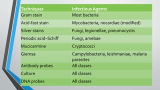 Techniques Infectious Agents 
Gram stain Most bacteria 
Acid-fast stain Mycobacteria, nocardiae (modified) 
Silver stains Fungi, legionellae, pneumocystis 
Periodic acid–Schiff Fungi, amebae 
Mucicarmine Cryptococci 
Giemsa Campylobacteria, leishmaniae, malaria 
parasites 
Antibody probes All classes 
Culture All classes 
DNA probes All classes 
 