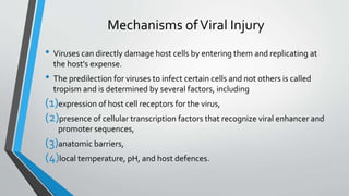 Mechanisms of Viral Injury 
• Viruses can directly damage host cells by entering them and replicating at 
the host's expense. 
• The predilection for viruses to infect certain cells and not others is called 
tropism and is determined by several factors, including 
(1)expression of host cell receptors for the virus, 
(2)presence of cellular transcription factors that recognize viral enhancer and 
promoter sequences, 
(3)anatomic barriers, 
(4)local temperature, pH, and host defences. 
 