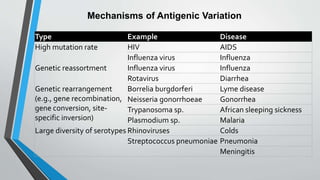 Mechanisms of Antigenic Variation 
Type Example Disease 
High mutation rate HIV AIDS 
Influenza virus Influenza 
Genetic reassortment Influenza virus Influenza 
Rotavirus Diarrhea 
Genetic rearrangement 
(e.g., gene recombination, 
gene conversion, site-specific 
inversion) 
Borrelia burgdorferi Lyme disease 
Neisseria gonorrhoeae Gonorrhea 
Trypanosoma sp. African sleeping sickness 
Plasmodium sp. Malaria 
Large diversity of serotypes Rhinoviruses Colds 
Streptococcus pneumoniae Pneumonia 
Meningitis 
 