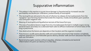 Suppurative inflammation 
• This pattern is the reaction to acute tissue damage is characterized by increased vascular 
permeability and leukocytic infiltration, predominantly of neutrophils. 
• The neutrophils are attracted to the site of infection by release of chemoattractants from the 
“pyogenic” (pus-forming) bacteria that evoke this response, mostly extracellular gram-positive 
cocci and gram-negative rods. 
• Massing of neutrophils and liquefactive necrosis of the tissue form pus. 
• The sizes of exudative lesions range from tiny microabscesses formed in multiple organs during 
bacterial sepsis secondary to a colonized heart valve to diffuse involvement of entire lobes of the 
lung in pneumonia. 
• How destructive the lesions are depends on their location and the organism involved. 
• Pneumococci usually spare alveolar walls and cause lobar pneumonia that resolves completely, 
whereas staphylococci and Klebsiella species destroy alveolar walls and form abscesses that heal 
with scar formation. 
• Bacterial pharyngitis resolves without sequelae, whereas untreated acute bacterial 
inflammation of a joint can destroy it in a few days. 
 