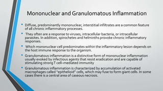Mononuclear and Granulomatous Inflammation 
• Diffuse, predominantly mononuclear, interstitial infiltrates are a common feature 
of all chronic inflammatory processes. 
• They often are a response to viruses, intracellular bacteria, or intracellular 
parasites. In addition, spirochetes and helminths provoke chronic inflammatory 
responses. 
• Which mononuclear cell predominates within the inflammatory lesion depends on 
the host immune response to the organism. 
• Granulomatous inflammation is a distinctive form of mononuclear inflammation 
usually evoked by infectious agents that resist eradication and are capable of 
stimulating strong T cell–mediated immunity 
• Granulomatous inflammation is characterized by accumulation of activated 
macrophages called “epithelioid” cells, which may fuse to form giant cells. In some 
cases there is a central area of caseous necrosis. 
 