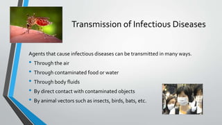 Transmission of Infectious Diseases 
Agents that cause infectious diseases can be transmitted in many ways. 
• Through the air 
• Through contaminated food or water 
• Through body fluids 
• By direct contact with contaminated objects 
• By animal vectors such as insects, birds, bats, etc. 
 