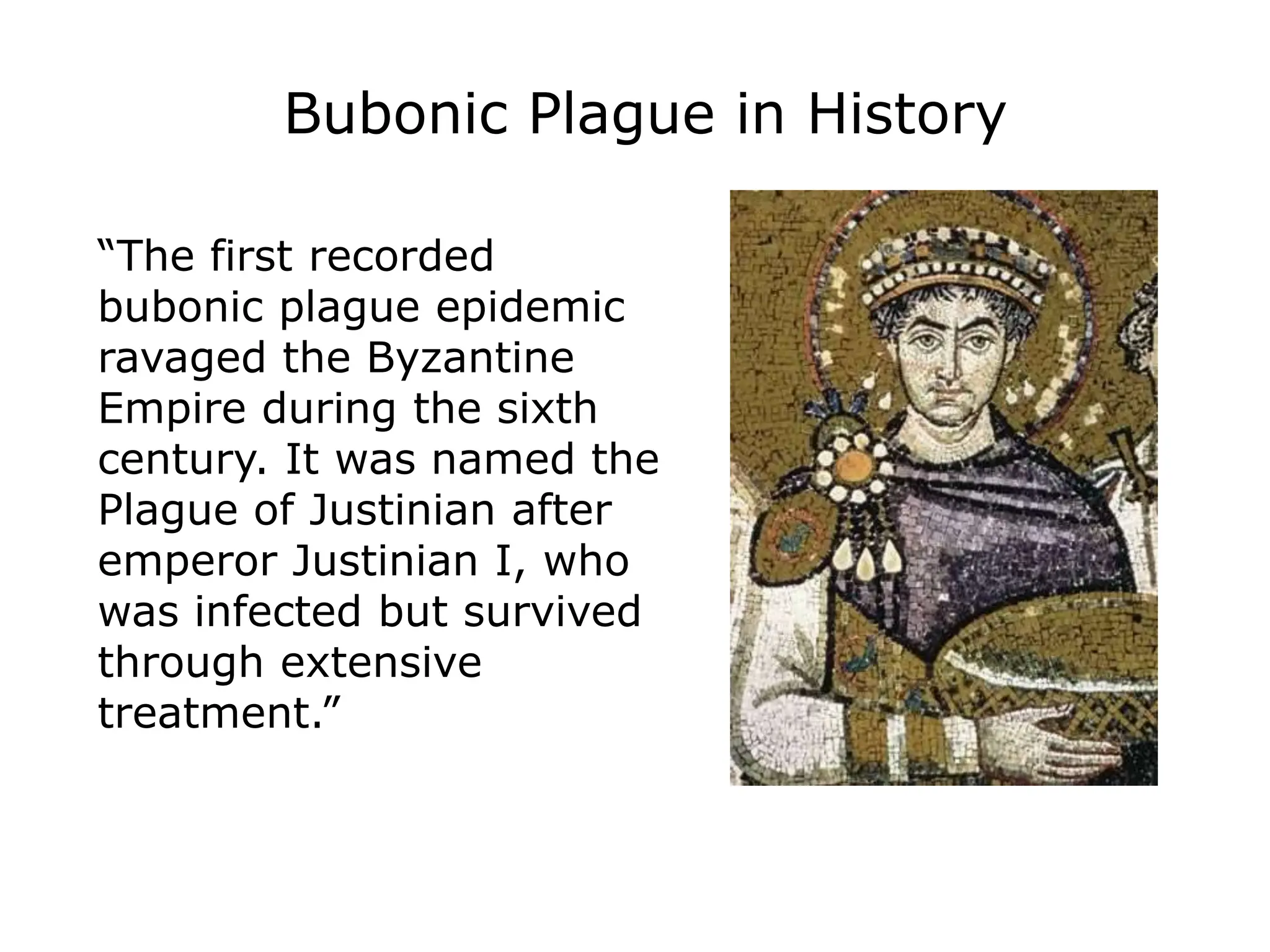 Bubonic Plague in History
“The first recorded
bubonic plague epidemic
ravaged the Byzantine
Empire during the sixth
century. It was named the
Plague of Justinian after
emperor Justinian I, who
was infected but survived
through extensive
treatment.”
 
