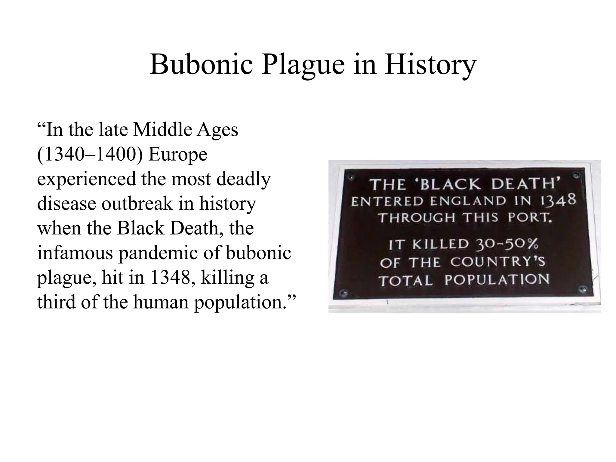 Bubonic Plague in History
“In the late Middle Ages
(1340–1400) Europe
experienced the most deadly
disease outbreak in history
when the Black Death, the
infamous pandemic of bubonic
plague, hit in 1348, killing a
third of the human population.”
 