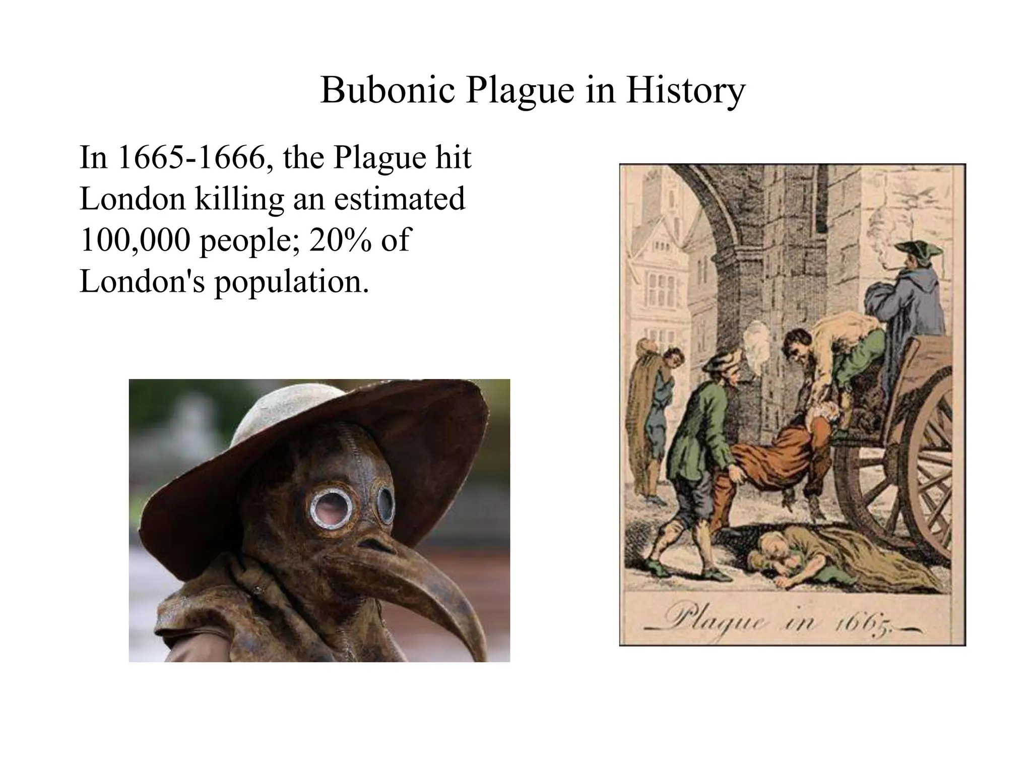 Bubonic Plague in History
In 1665-1666, the Plague hit
London killing an estimated
100,000 people; 20% of
London's population.
 