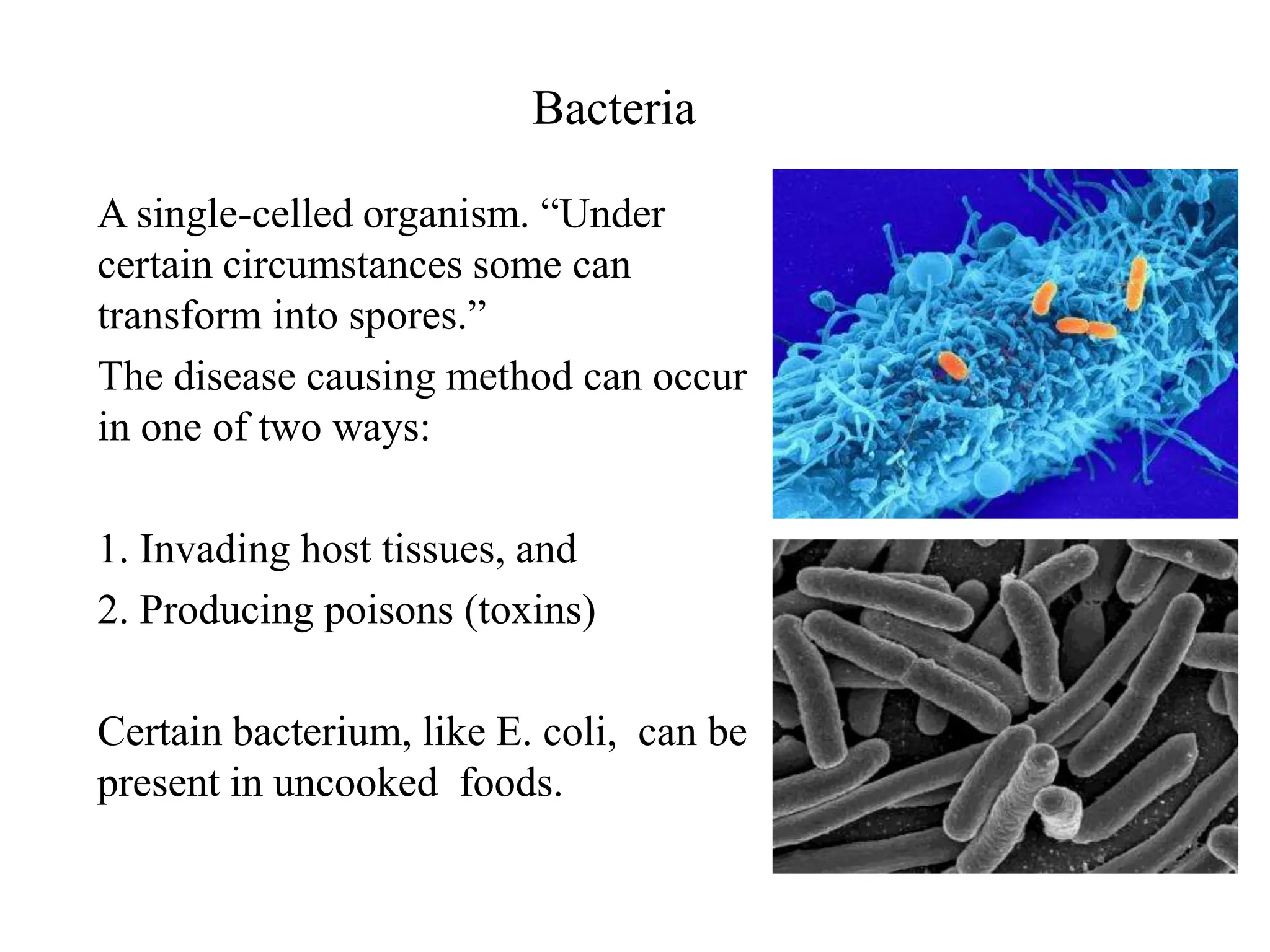 Bacteria
A single-celled organism. “Under
certain circumstances some can
transform into spores.”
The disease causing method can occur
in one of two ways:
1. Invading host tissues, and
2. Producing poisons (toxins)
Certain bacterium, like E. coli, can be
present in uncooked foods.
 