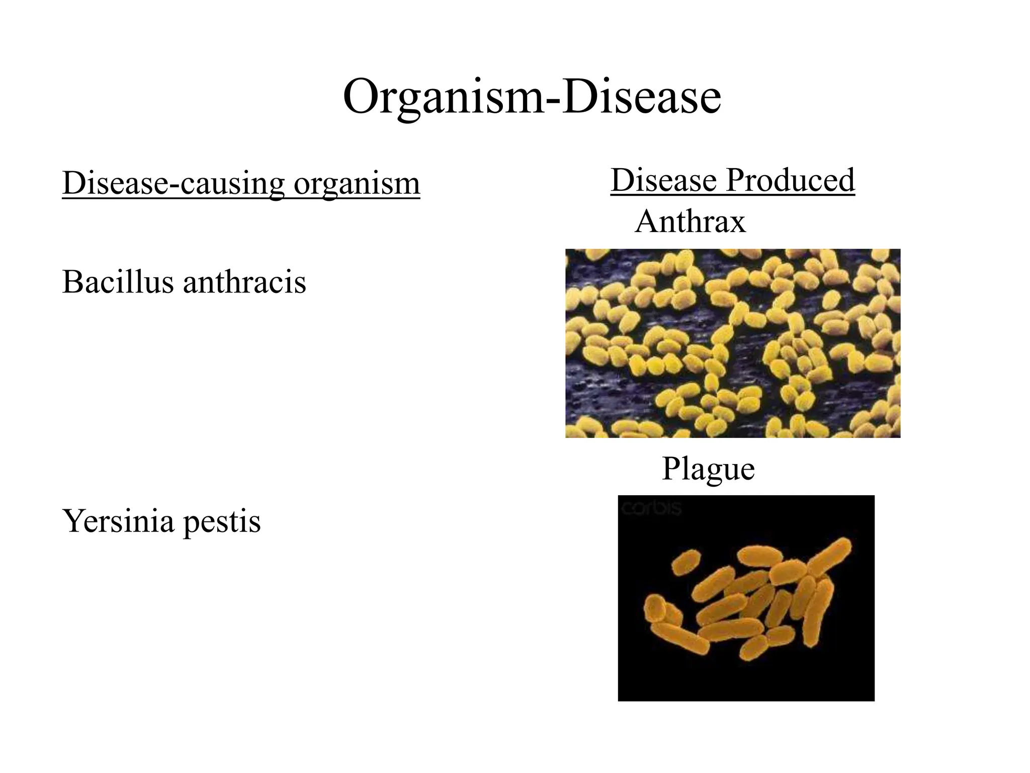 Organism-Disease
Disease-causing organism
Bacillus anthracis
Yersinia pestis
Disease Produced
Anthrax
Plague
 