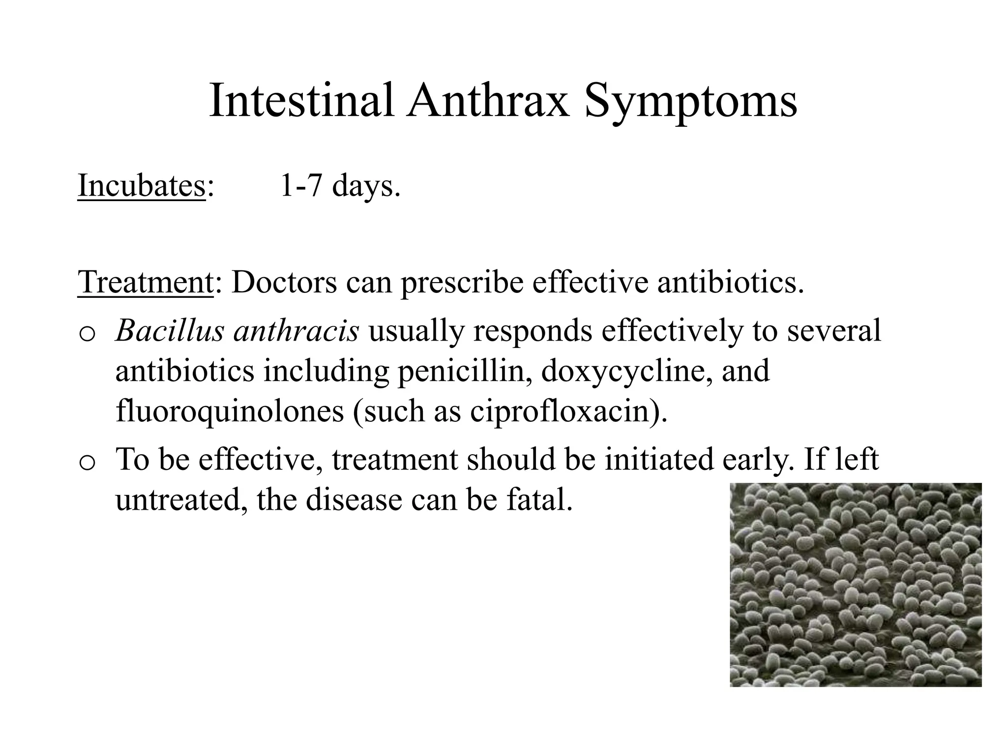 Intestinal Anthrax Symptoms
Incubates: 1-7 days.
Treatment: Doctors can prescribe effective antibiotics.
o Bacillus anthracis usually responds effectively to several
antibiotics including penicillin, doxycycline, and
fluoroquinolones (such as ciprofloxacin).
o To be effective, treatment should be initiated early. If left
untreated, the disease can be fatal.
 