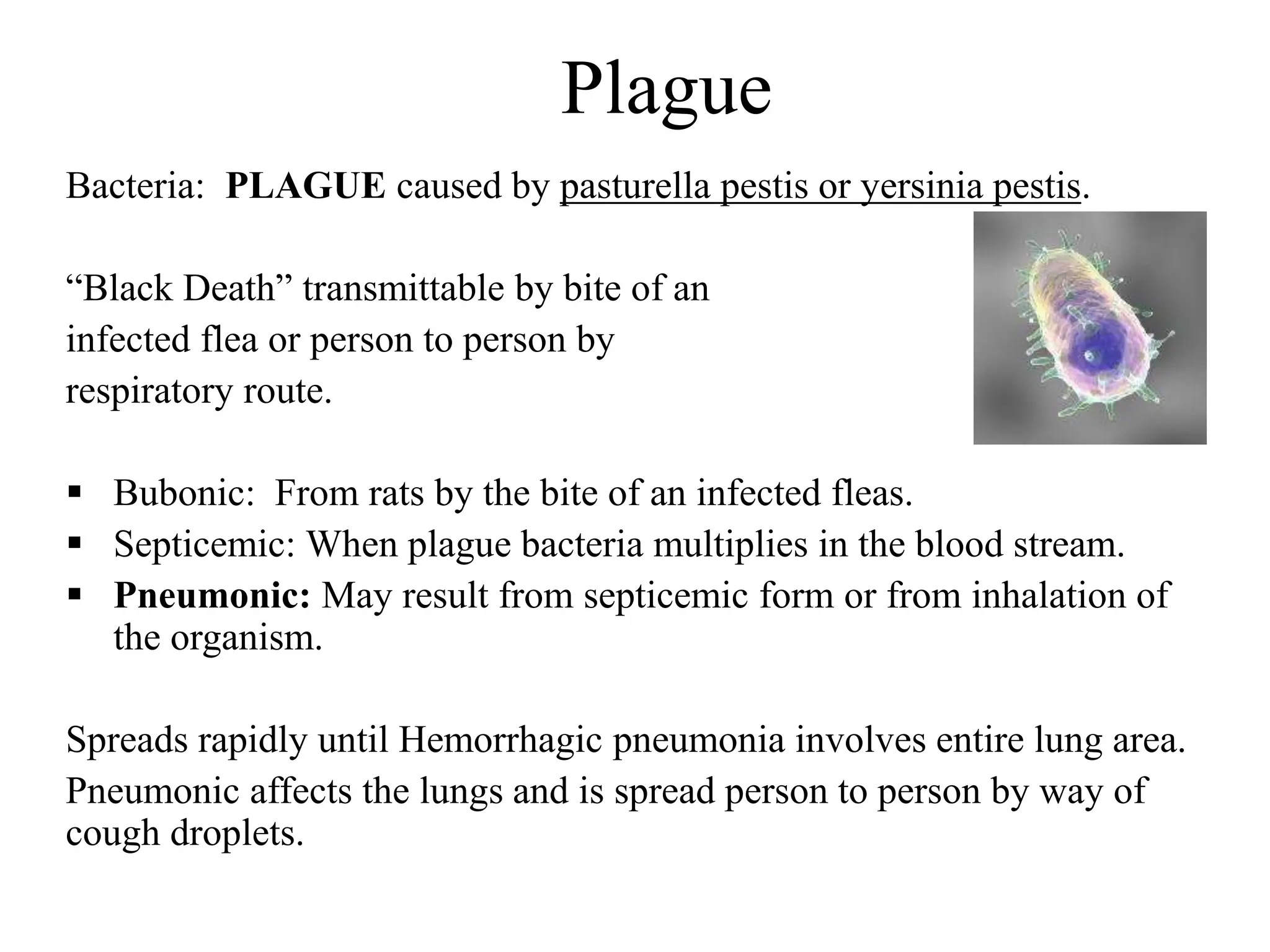 Plague
Bacteria: PLAGUE caused by pasturella pestis or yersinia pestis.
“Black Death” transmittable by bite of an
infected flea or person to person by
respiratory route.
 Bubonic: From rats by the bite of an infected fleas.
 Septicemic: When plague bacteria multiplies in the blood stream.
 Pneumonic: May result from septicemic form or from inhalation of
the organism.
Spreads rapidly until Hemorrhagic pneumonia involves entire lung area.
Pneumonic affects the lungs and is spread person to person by way of
cough droplets.
 