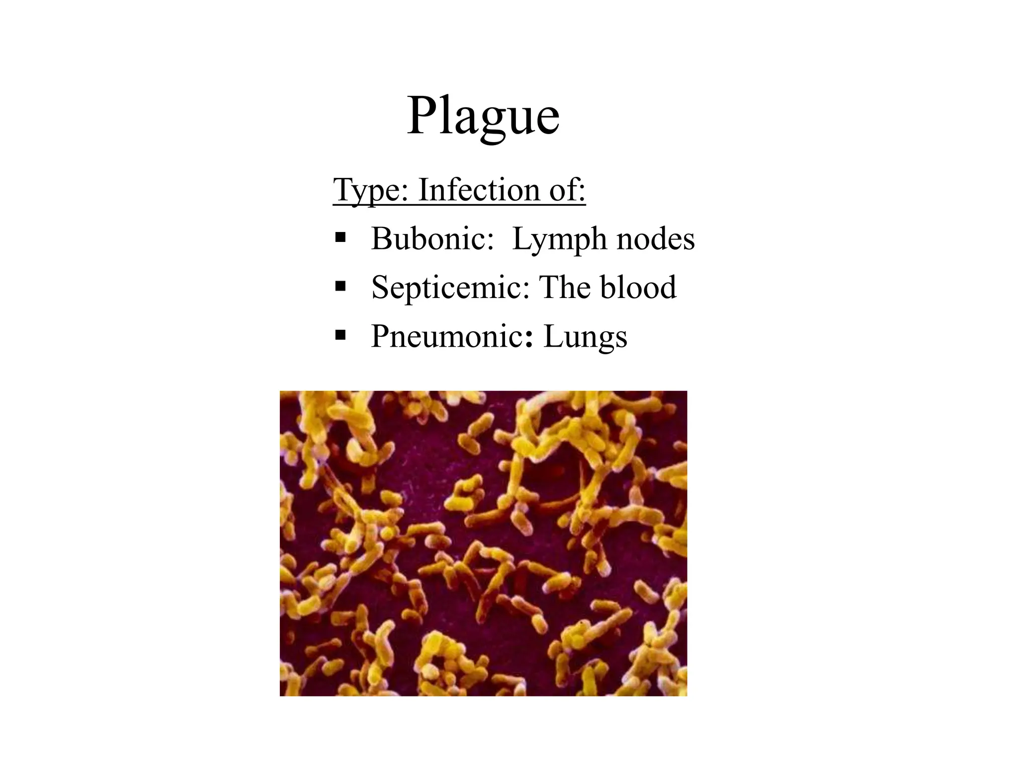 Plague
Type: Infection of:
 Bubonic: Lymph nodes
 Septicemic: The blood
 Pneumonic: Lungs
 
